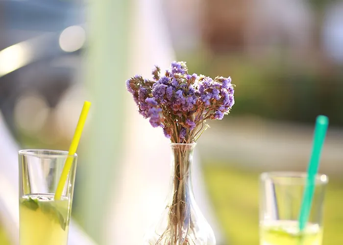 Hotel Cunda House Kuecuek Ayvalı